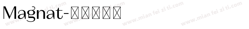 Magnat字体转换