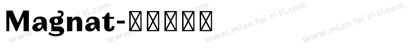 Magnat字体转换
