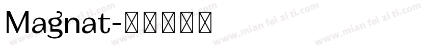Magnat字体转换