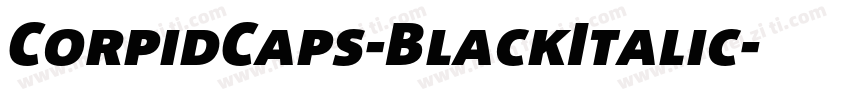 CorpidCaps-BlackItalic字体转换