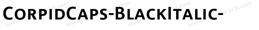 CorpidCaps-BlackItalic字体转换