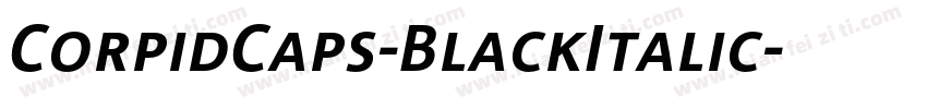 CorpidCaps-BlackItalic字体转换
