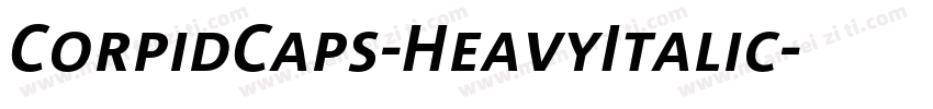 CorpidCaps-HeavyItalic字体转换