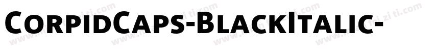 CorpidCaps-BlackItalic字体转换