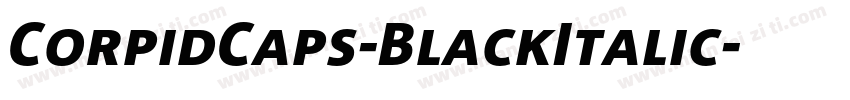 CorpidCaps-BlackItalic字体转换