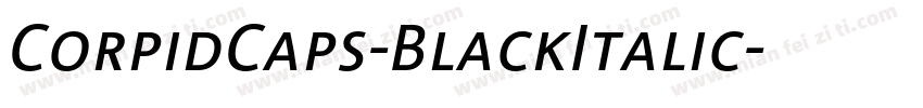 CorpidCaps-BlackItalic字体转换