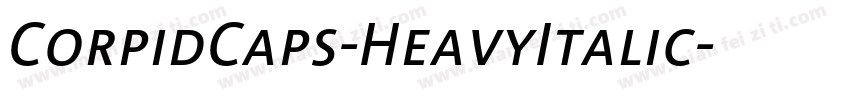 CorpidCaps-HeavyItalic字体转换
