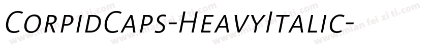 CorpidCaps-HeavyItalic字体转换