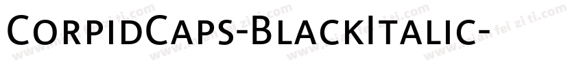 CorpidCaps-BlackItalic字体转换