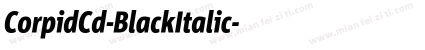 CorpidCd-BlackItalic字体转换