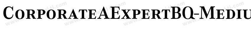 CorporateAExpertBQ-MediumItalicOsF字体转换