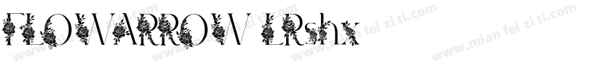 FLOWARROW-LRshx字体转换