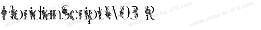 FloridianScriptW03-R字体转换