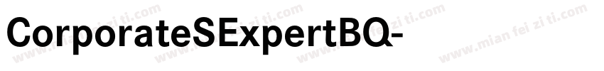 CorporateSExpertBQ字体转换