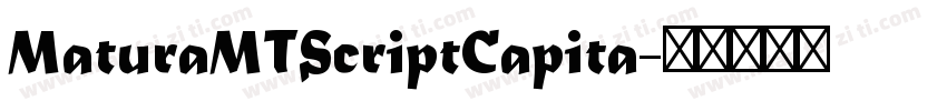 MaturaMTScriptCapita字体转换