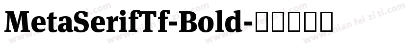MetaSerifTf-Bold字体转换