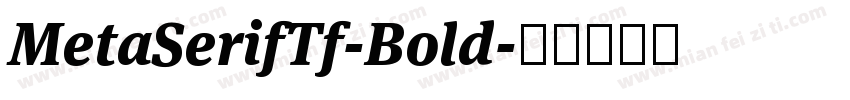 MetaSerifTf-Bold字体转换