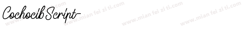 CochocibScript字体转换