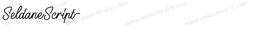 SeldaneScript字体转换