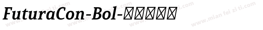 FuturaCon-Bol字体转换