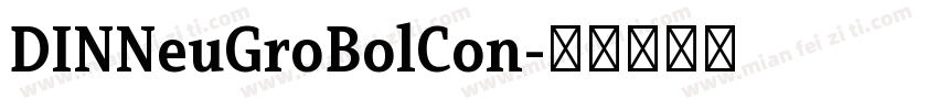 DINNeuGroBolCon字体转换