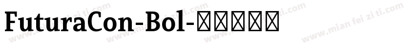 FuturaCon-Bol字体转换