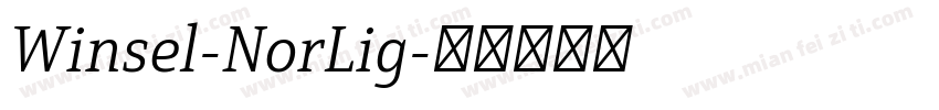 Winsel-NorLig字体转换