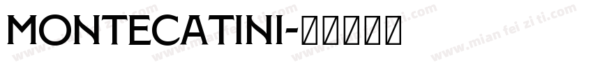 Montecatini字体转换