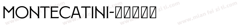 Montecatini字体转换