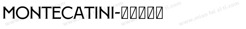 Montecatini字体转换