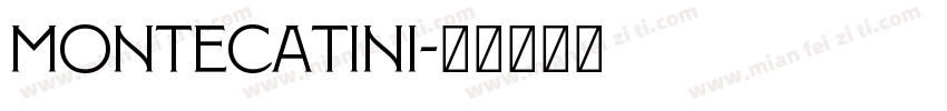 Montecatini字体转换