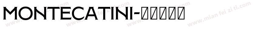Montecatini字体转换