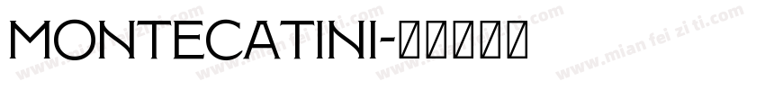 Montecatini字体转换