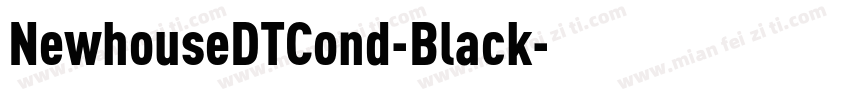 NewhouseDTCond-Black字体转换