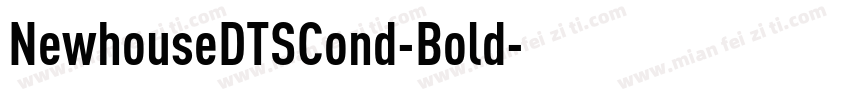 NewhouseDTSCond-Bold字体转换