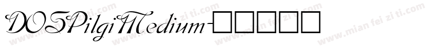 DOSPilgiMedium字体转换