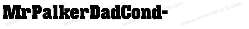 MrPalkerDadCond字体转换