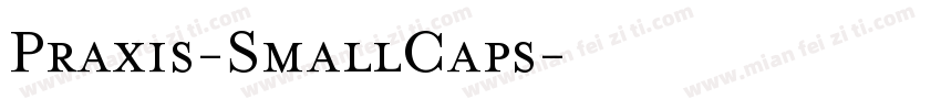 Praxis-SmallCaps字体转换