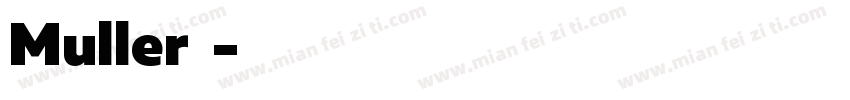 Muller字体字体转换