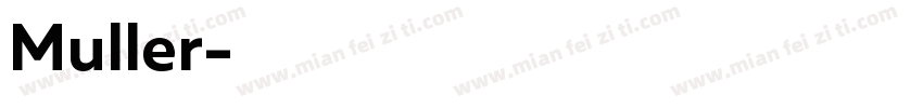 Muller字体转换