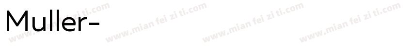 Muller字体转换