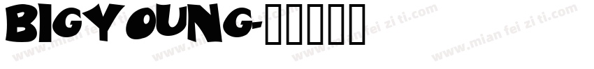 bigyoung字体转换