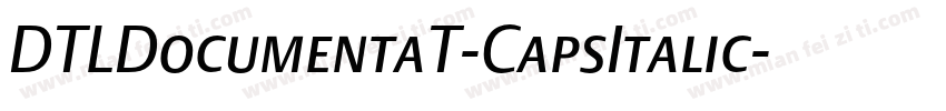 DTLDocumentaT-CapsItalic字体转换