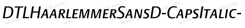 DTLHaarlemmerSansD-CapsItalic字体转换