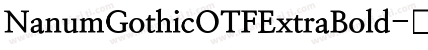 NanumGothicOTFExtraBold字体转换