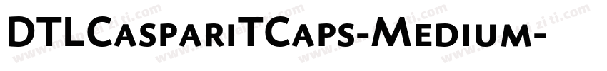 DTLCaspariTCaps-Medium字体转换