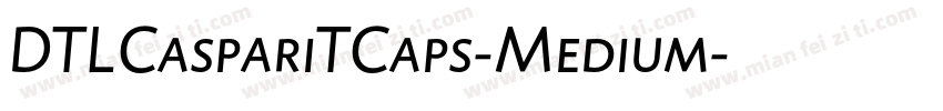 DTLCaspariTCaps-Medium字体转换