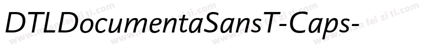 DTLDocumentaSansT-Caps字体转换
