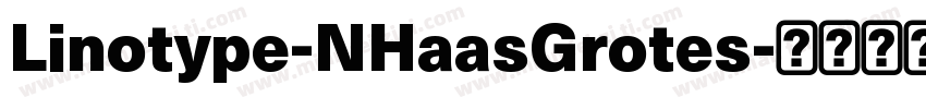 Linotype-NHaasGrotes字体转换