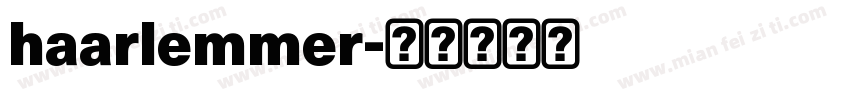 haarlemmer字体转换